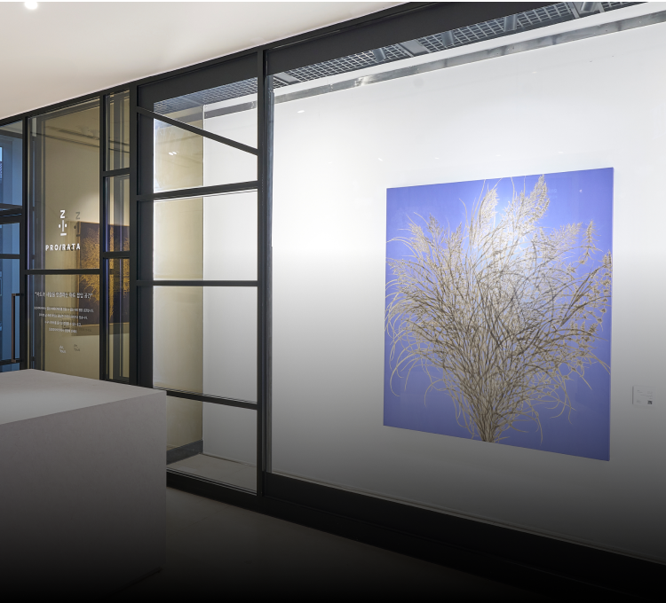 성민우 작가의 Oikos Bouquet 작품 이미지