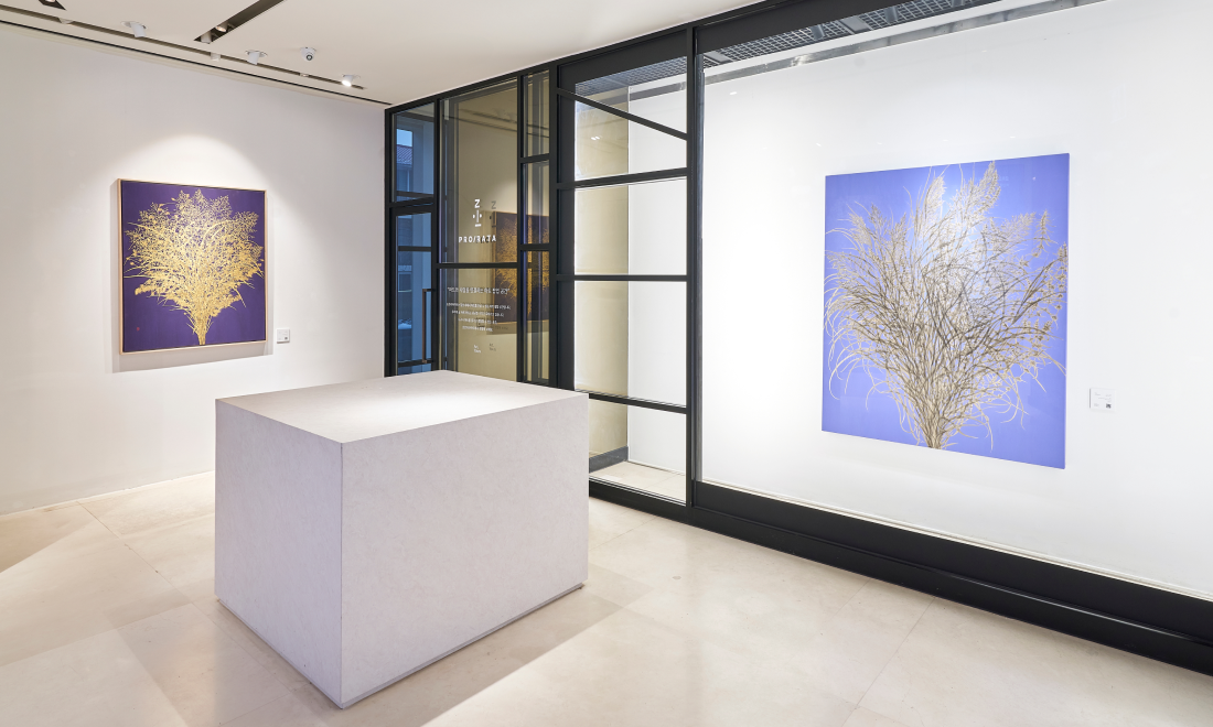 성민우 작가의 작품 이미지